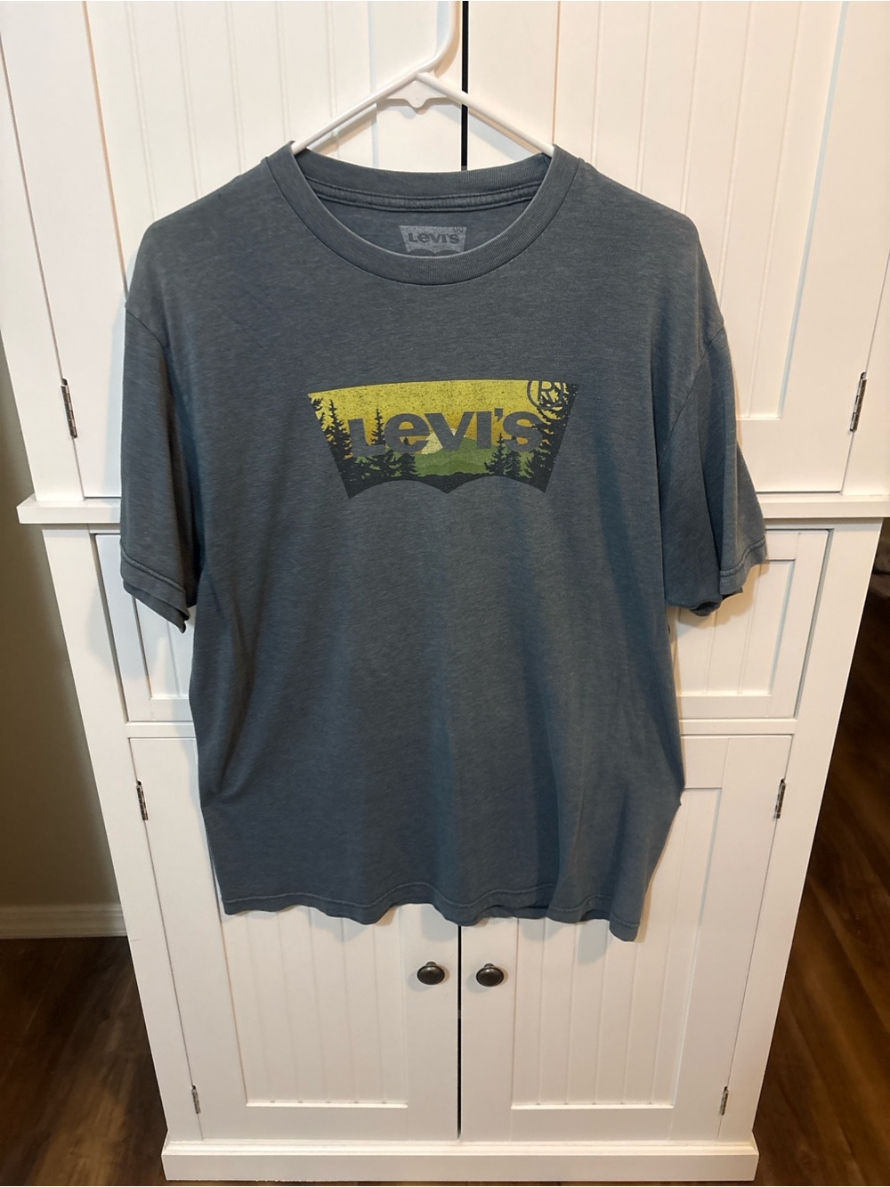 Levi’s Men’s Large Charcoal Gray Mountain Graphic Tee Outdoorsy Gropcore